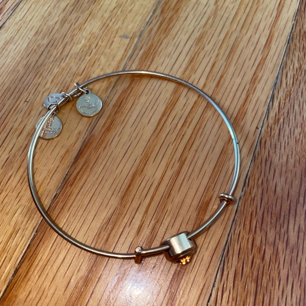 Alex and ani bracelet
